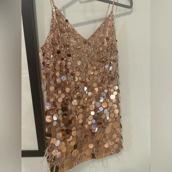 Ramy brook mini dress rose gold rina dress 2 nwt - Picture 5 of 13